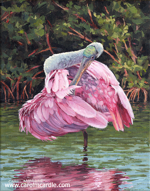 The Evening Preen 14"x11"